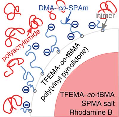 Aqueous Colloid + Polymer Depletion System for Confocal Microscopy and Rheology